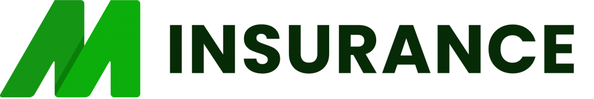 L&H Insurance